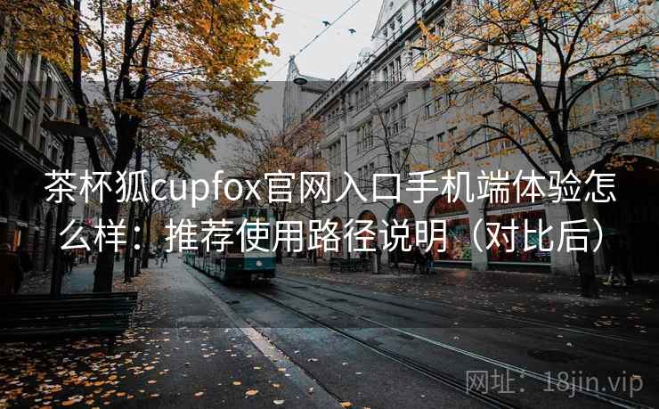 茶杯狐cupfox官网入口手机端体验怎么样：推荐使用路径说明（对比后）