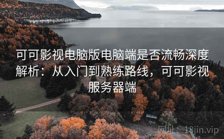 可可影视电脑版电脑端是否流畅深度解析：从入门到熟练路线，可可影视服务器端