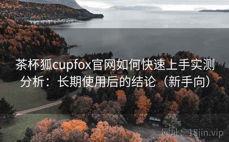 茶杯狐cupfox官网如何快速上手实测分析：长期使用后的结论（新手向）