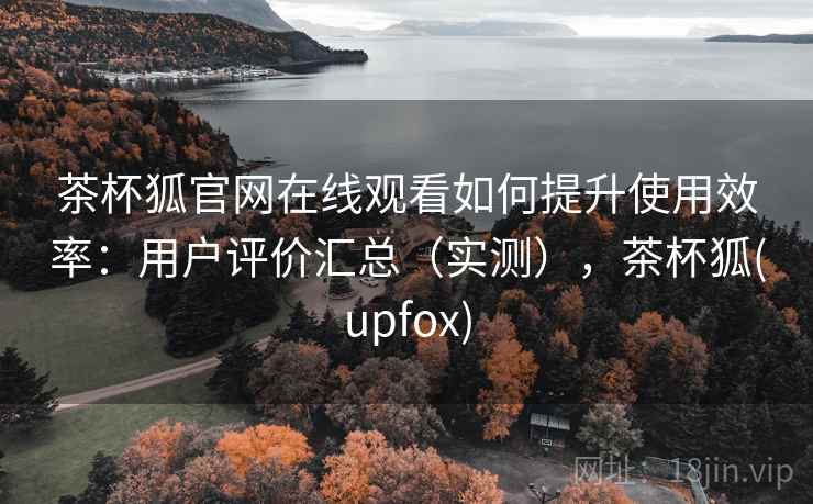 茶杯狐官网在线观看如何提升使用效率：用户评价汇总（实测），茶杯狐(upfox)