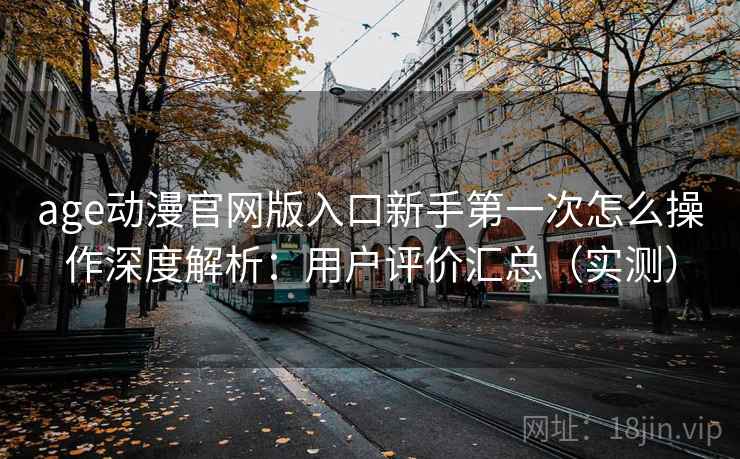 age动漫官网版入口新手第一次怎么操作深度解析：用户评价汇总（实测）