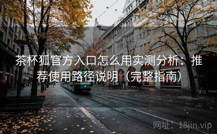 茶杯狐官方入口怎么用实测分析：推荐使用路径说明（完整指南）