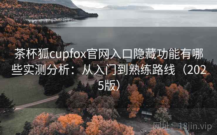 茶杯狐cupfox官网入口隐藏功能有哪些实测分析：从入门到熟练路线（2025版）