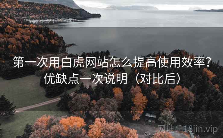 第一次用白虎网站怎么提高使用效率？优缺点一次说明（对比后）