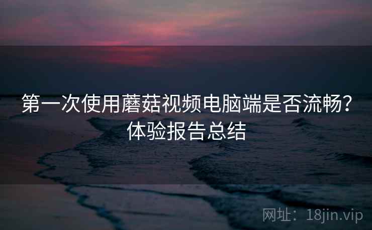 第一次使用蘑菇视频电脑端是否流畅？体验报告总结