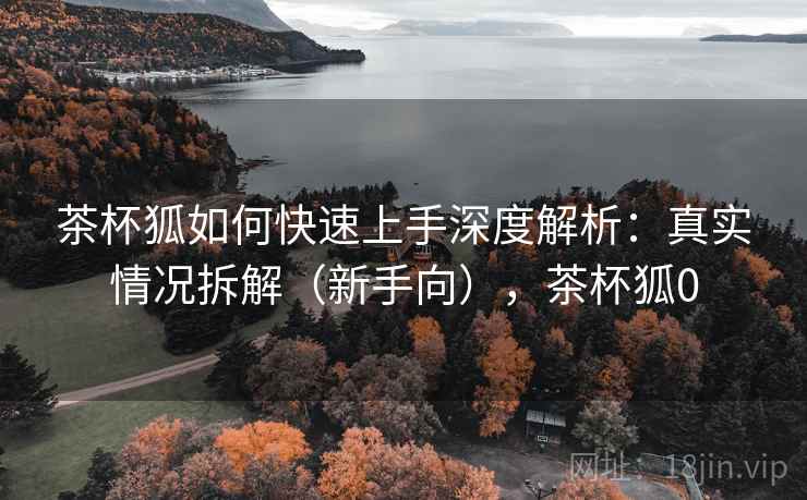 茶杯狐如何快速上手深度解析：真实情况拆解（新手向），茶杯狐0