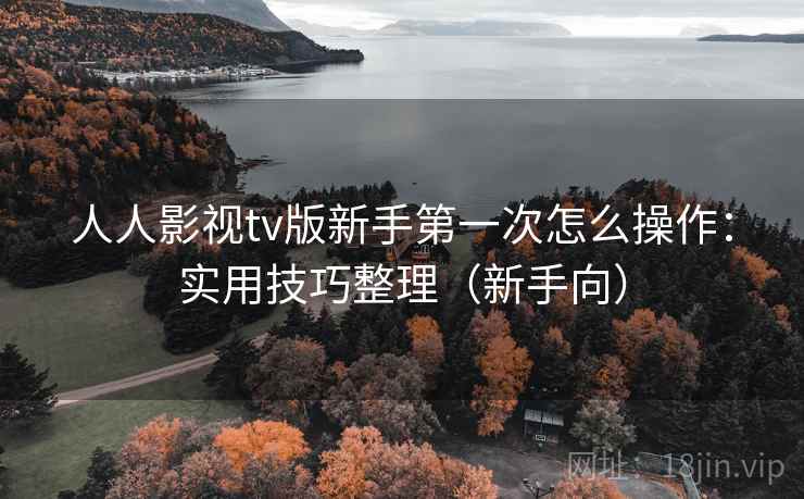 人人影视tv版新手第一次怎么操作：实用技巧整理（新手向）